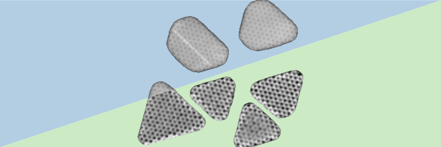 gold “islands” deposited on a layer of two-dimensional molybdenum disulfide, imaged using HAADF and iDPC STEM techniques